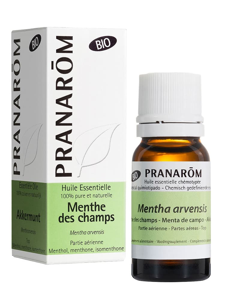 Pranarôm Huile Essentielle Menthe Des Champs Bio Mentha Arvensis Partie Aérienne 10 ml